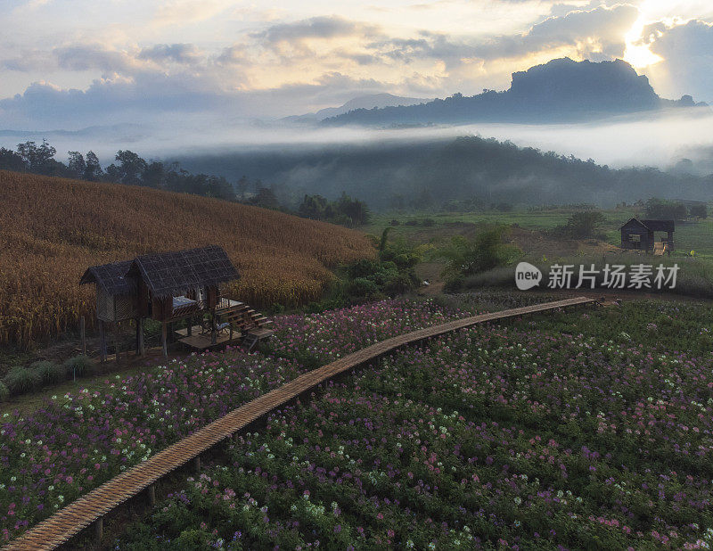 在泰国清迈省的Doi Luang Chiang Dao，日出时美丽的空中景观。